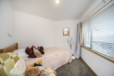 Photo of property in 41 Ihaka Street, Hokowhitu, Palmerston North, 4410