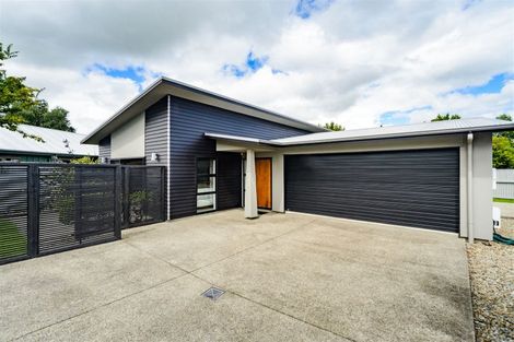 Photo of property in 12a Conway Place, Terrace End, Palmerston North, 4410