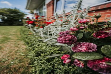 Photo of property in 17 Constitution Avenue, Milton, 9220