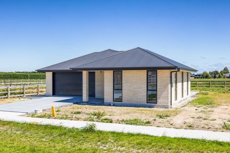 Photo of property in 20 Plover Avenue, Amberley, 7410