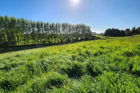 Photo of property in 114 Dudley Road Upper, Inglewood, 4386