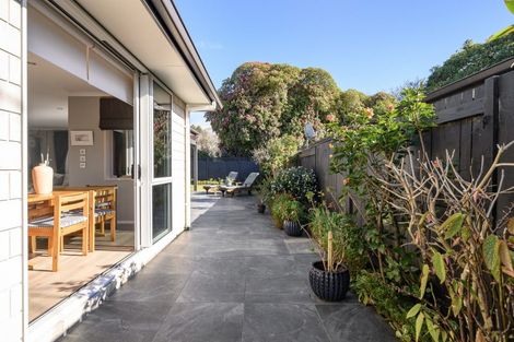 Photo of property in 15 Hansard Place, Bethlehem, Tauranga, 3110