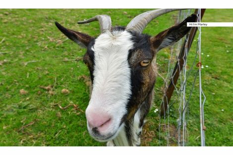 Photo of property in 24 Puhoi Close, Puhoi, Warkworth, 0994