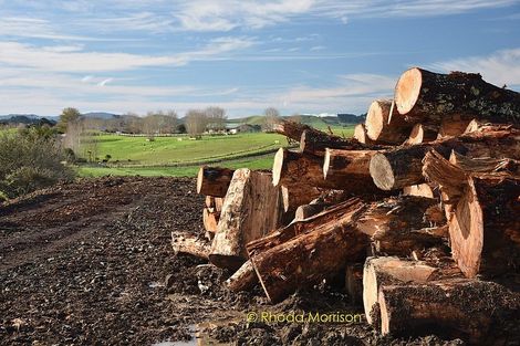 Photo of property in 186 Metcalfe Road, Ranui, Auckland, 0612