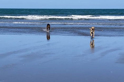 Photo of property in 10 Devlin Avenue, Rangiora, 7400