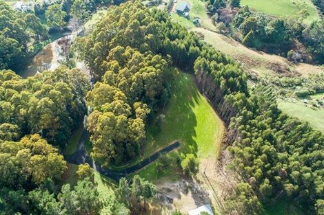 Photo of property in 74 Mick Dillon Road, Tahekeroa, Kaukapakapa, 0873