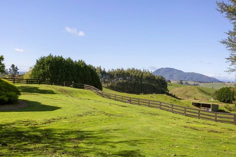 Photo of property in 61 Oak Drive, Wairakei, Taupo, 3384
