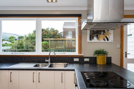 Photo of property in 39 Signal Hill Road, Opoho, Dunedin, 9010