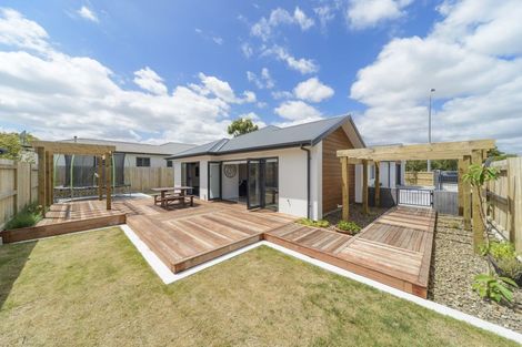 Photo of property in 113b Ferguson Street, West End, Palmerston North, 4412