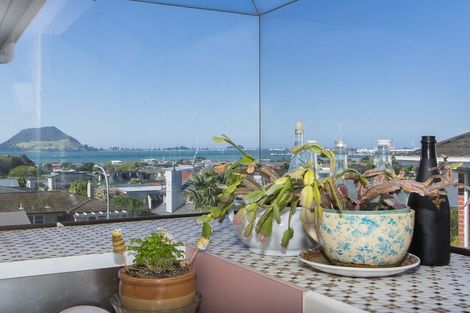 Photo of property in 21b Seaview Road, Otumoetai, Tauranga, 3110