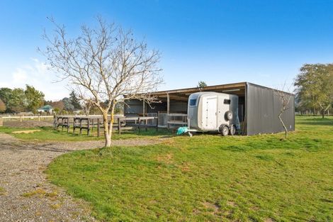 Photo of property in 137 Kent Street, Carterton, 5713