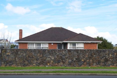 Photo of property in 163 Hall Avenue, Favona, Auckland, 2024