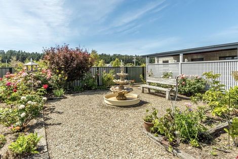 Photo of property in 77 Russell Street, Alexandra, 9320