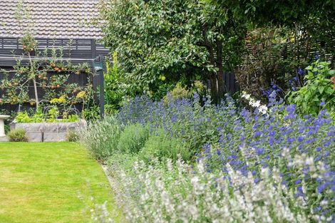 Photo of property in 43 Colombo Street, Cashmere, Christchurch, 8022