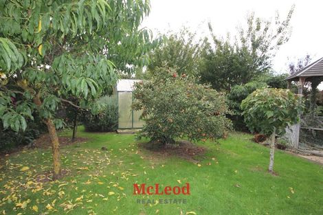 Photo of property in 53 Mcmurdo Street, Tinwald, Ashburton, 7700