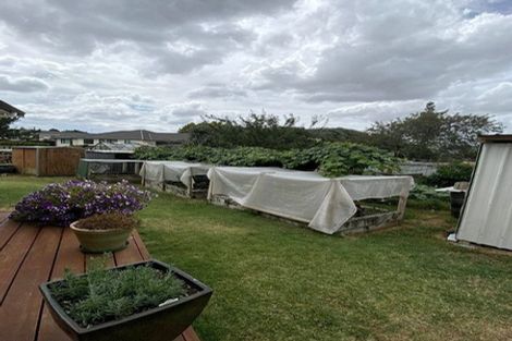 Photo of property in 64 Whitaker Street, Kihikihi, Te Awamutu, 3800