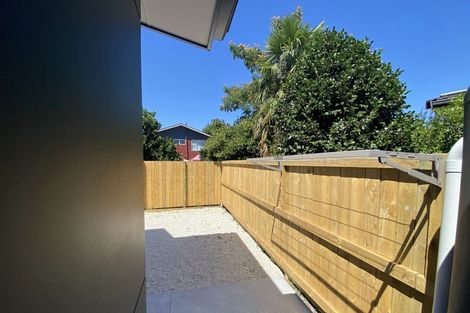 Photo of property in 43a Lake Crescent, Hamilton Lake, Hamilton, 3204