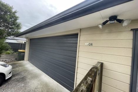 Photo of property in 110a Victoria Street West, Pukekohe, 2120