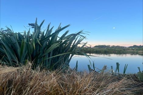 Photo of property in 152 Metehau Street, Marshland, Christchurch, 8083