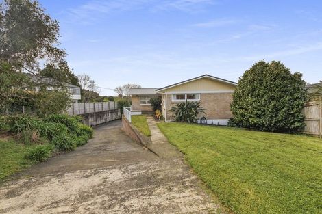 Photo of property in 49 Gorge Road, Maungaturoto, 0520