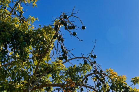 Photo of property in 121 Lovers Lane, Hapuku, Kaikoura, 7371