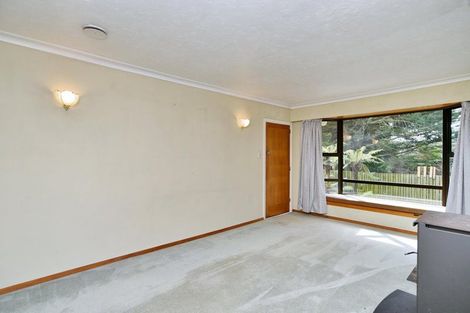 Photo of property in 4/17 Bond Street, Waltham, Christchurch, 8023