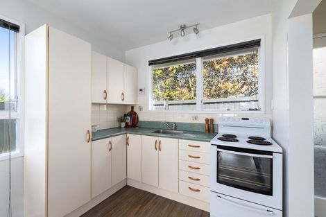 Photo of property in 1/304 Opawa Road, Hillsborough, Christchurch, 8022