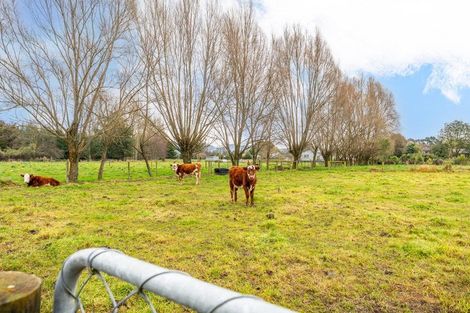 Photo of property in 115 Main North Road, Geraldine, 7930