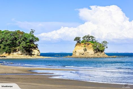 Photo of property in 50 Hebron Road, Waiake, Auckland, 0630