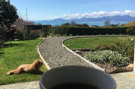 Photo of property in 12 Crusader Drive, Ruby Bay, Mapua, 7005