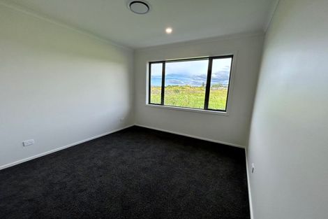 Photo of property in 17 Dinneen Close, Frimley, Hastings, 4120