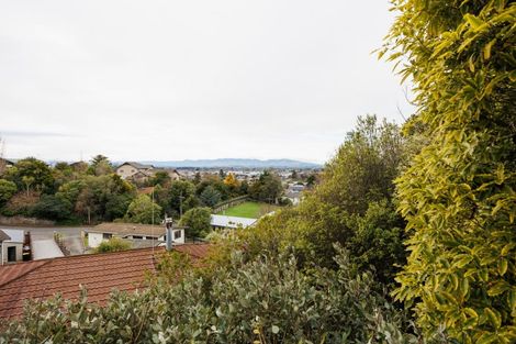 Photo of property in 20 Tiritoa Terrace, Feilding, 4702