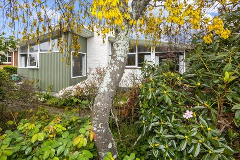 Photo of property in 11 Kiwi Street, Heretaunga, Upper Hutt, 5018