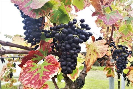 Photo of property in 142 Te Kowhai Point Road, Kerikeri, 0294