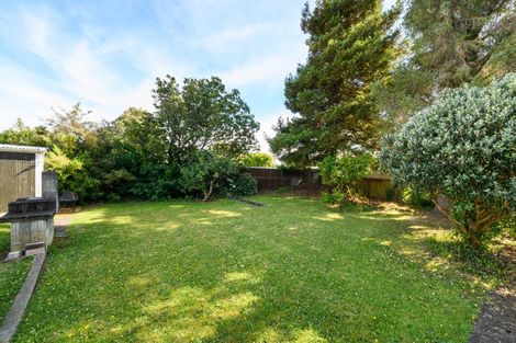 Photo of property in 43 Ihle Street, Terrace End, Palmerston North, 4410