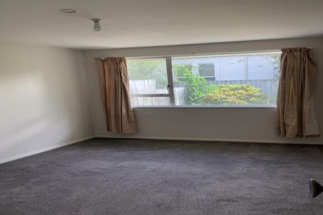 Photo of property in 1/157 Springfield Road, St Albans, Christchurch, 8014