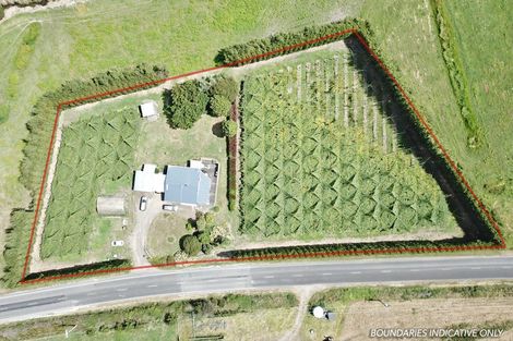 Photo of property in 120 Rotoehu Road, Pukehina, Te Puke, 3186