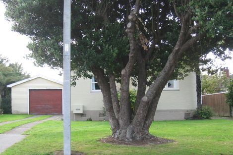 Photo of property in 65 Lincoln Avenue, Epuni, Lower Hutt, 5011