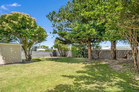 Photo of property in 48 Wood Street, Takaro, Palmerston North, 4410