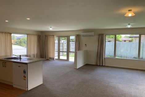 Photo of property in 14 Hasendene Drive, Lincoln, 7608