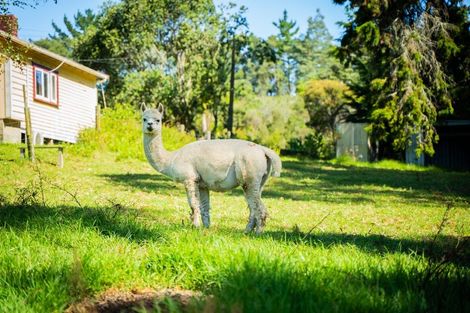 Photo of property in 146 Horseshoe Bush Road, Dairy Flat, Albany, 0794