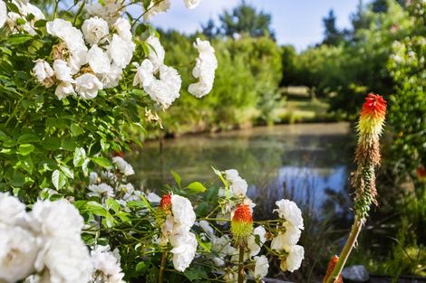 Photo of property in 617 Dunstan Road, Alexandra, 9391