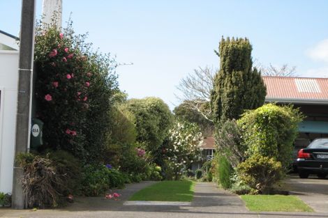 Photo of property in 48a Dorset Avenue, Westown, New Plymouth, 4310