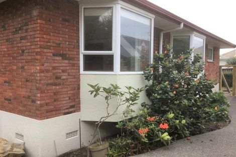 Photo of property in 50 Grange Road, Otumoetai, Tauranga, 3110