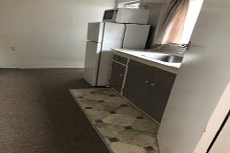 Photo of property in 45 Apuka Street, Brooklyn, Wellington, 6021