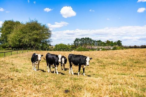 Photo of property in 65 Ernest George Drive, Karaka, Papakura, 2580