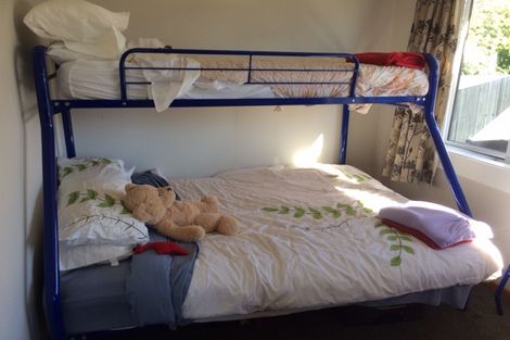 Photo of property in 36a Waenga Drive, Cromwell, 9310