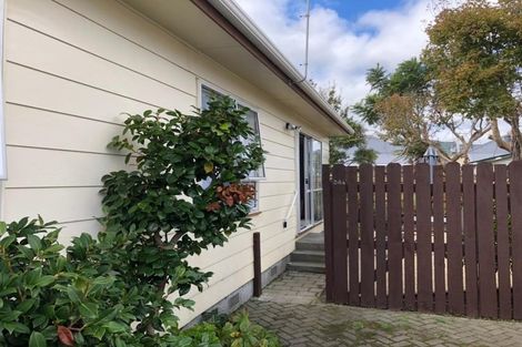 Photo of property in 24a Plunket Avenue, Petone, Lower Hutt, 5012