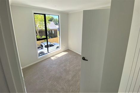 Photo of property in 43a Lake Crescent, Hamilton Lake, Hamilton, 3204