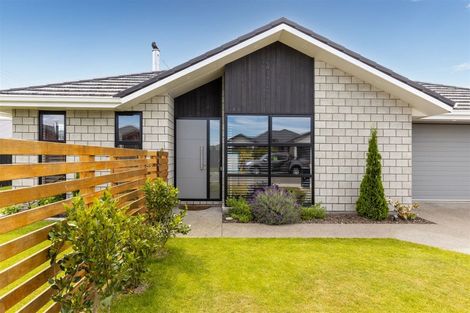 Photo of property in 8 Mustang Alley, Burleigh, Blenheim, 7201